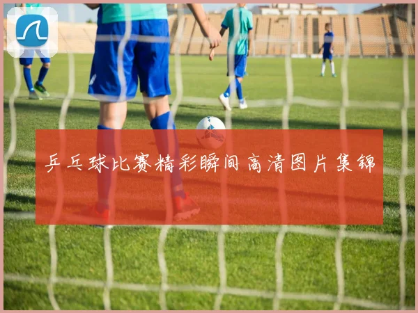 乒乓球比赛精彩瞬间高清图片集锦