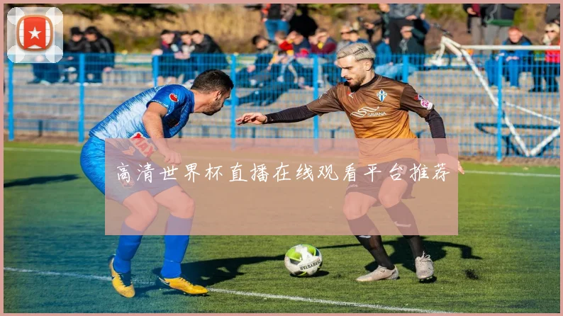高清世界杯直播在线观看平台推荐