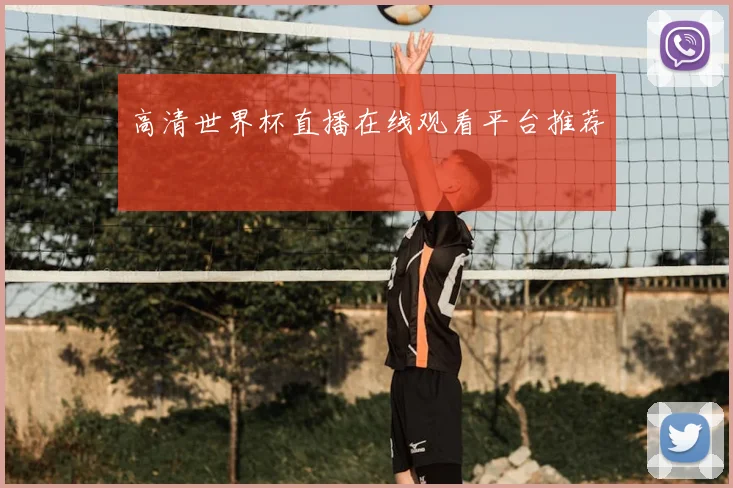 高清世界杯直播在线观看平台推荐